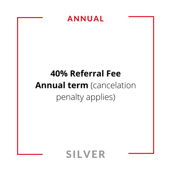 Annual : Silver Leads - Image 2