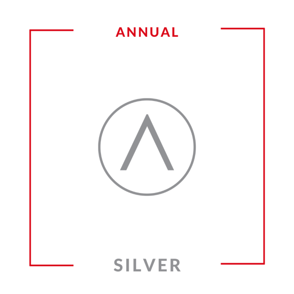 Annual : Silver Leads