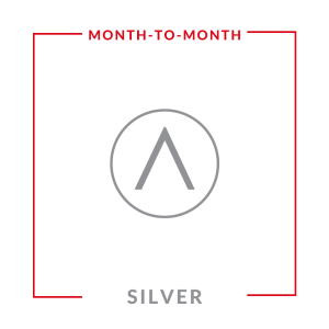 Pay As You Go : Silver Leads (Month-to-Month)