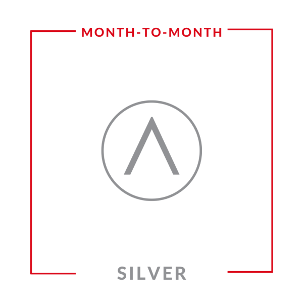 Pay As You Go : Silver Leads (Month-to-Month)
