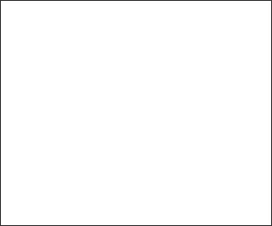 300x250_EN